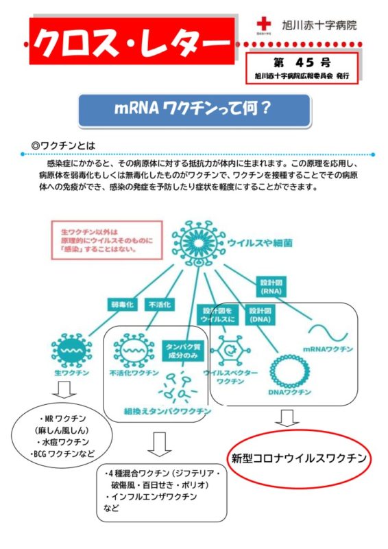 CrossLetter-044のサムネイル